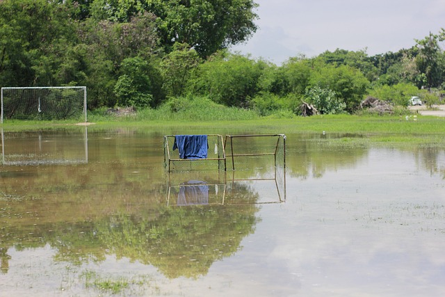 续冲击季后 续冲击季后