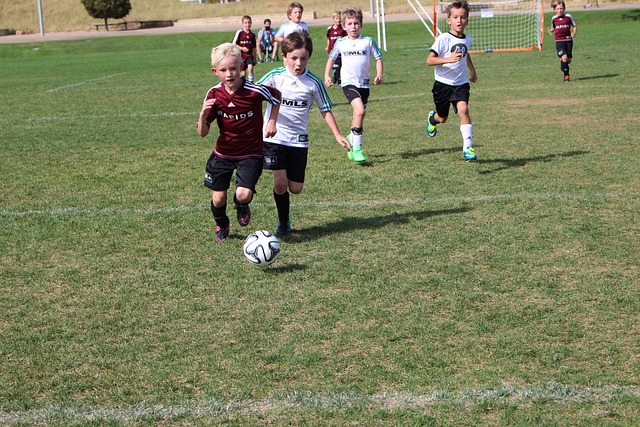 不仅刺激旅 不仅刺激旅