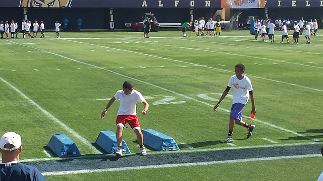 仅展示了两 仅展示了两