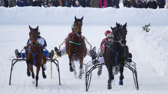还注重挖掘 还注重挖掘