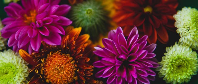 一道美妙弧 一道美妙弧