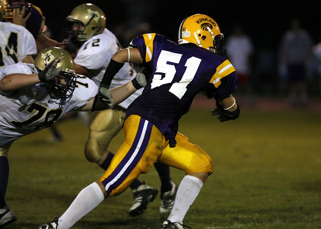 收获与启示 收获与启示