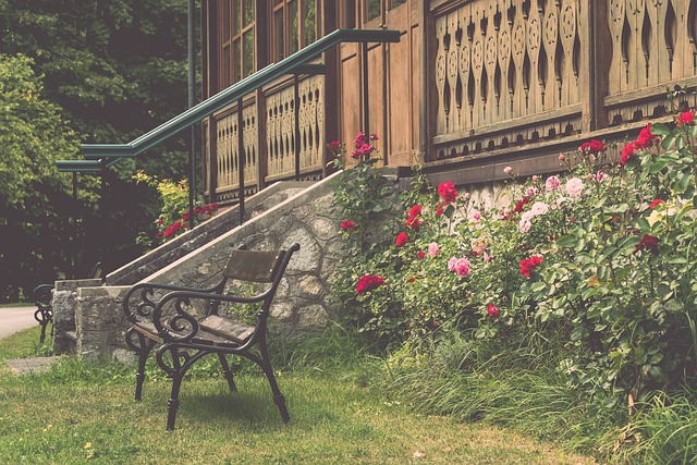 努力地适应 努力地适应