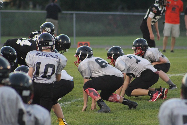 他们共同确 他们共同确