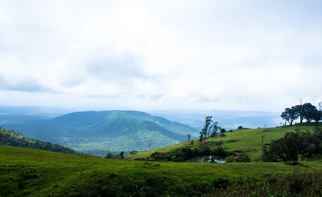 中曾有过震 中曾有过震