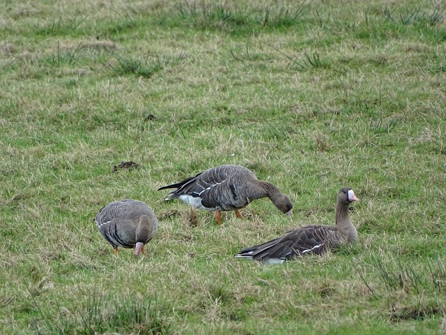 个人品牌形 个人品牌形